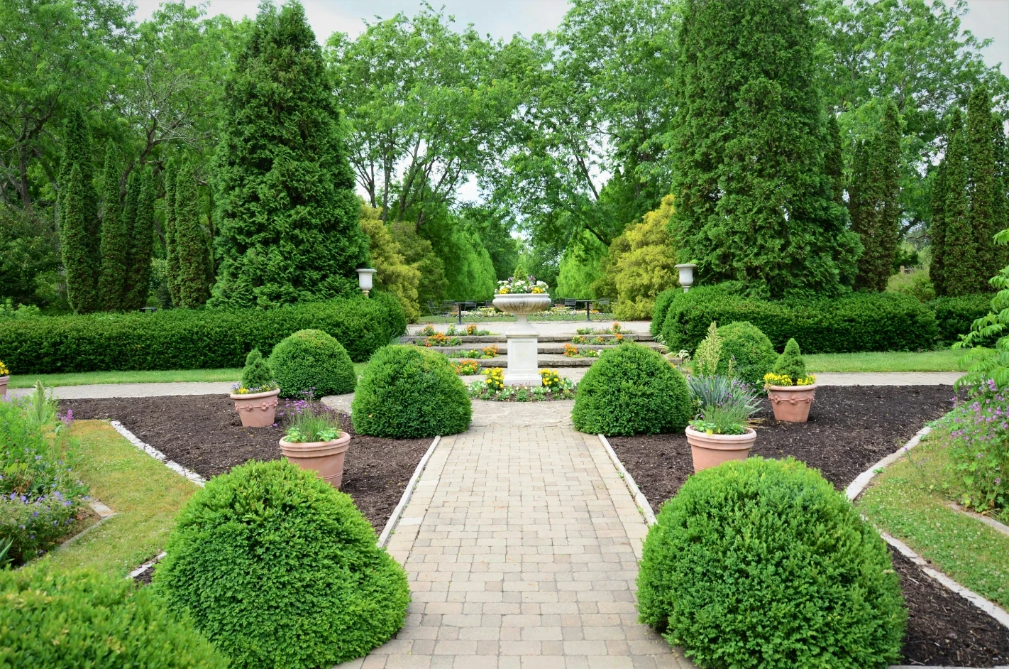 a garden filled with lots of different types of flowers