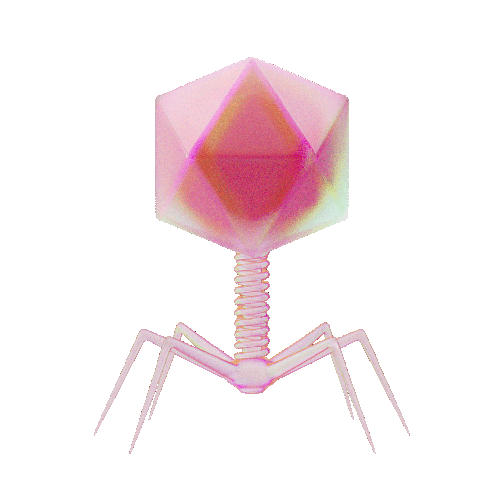 temperate phage