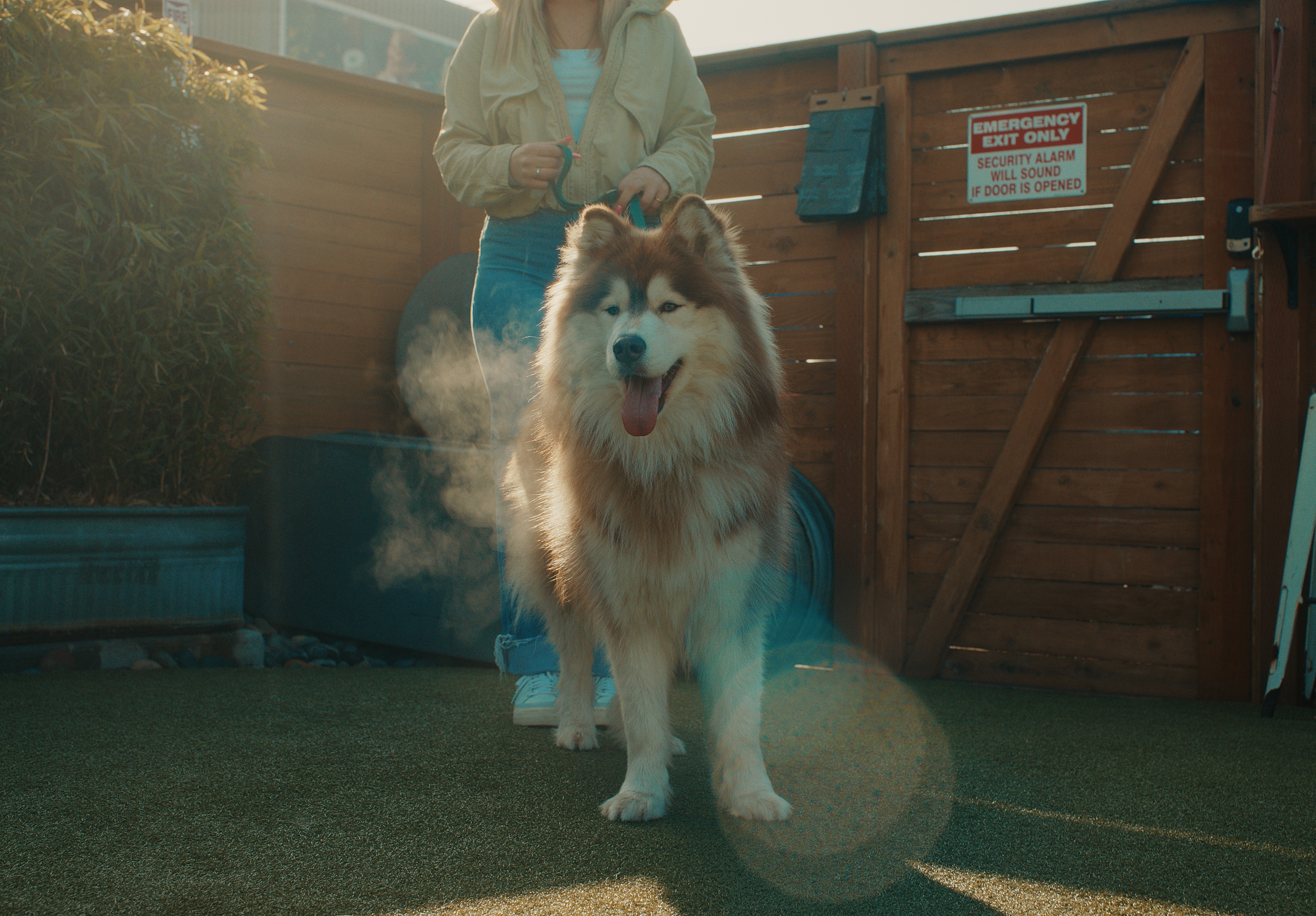 person sitting on grass and using phone