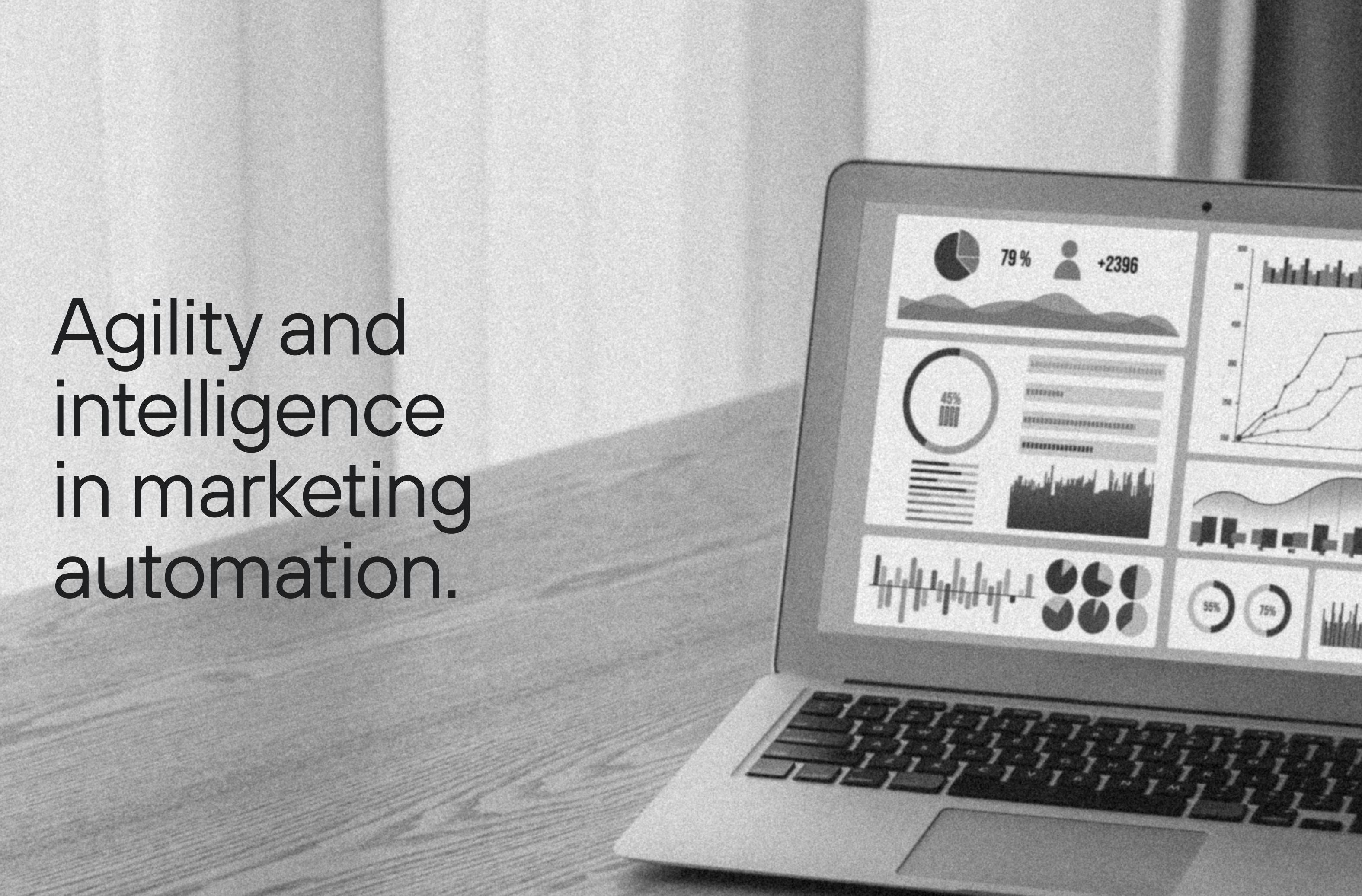 Image article marketing automation.