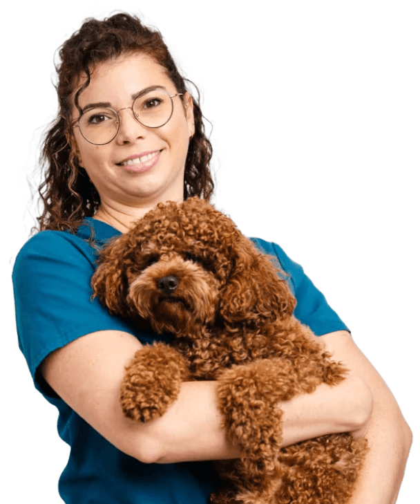 Get the best Vet care for your pet