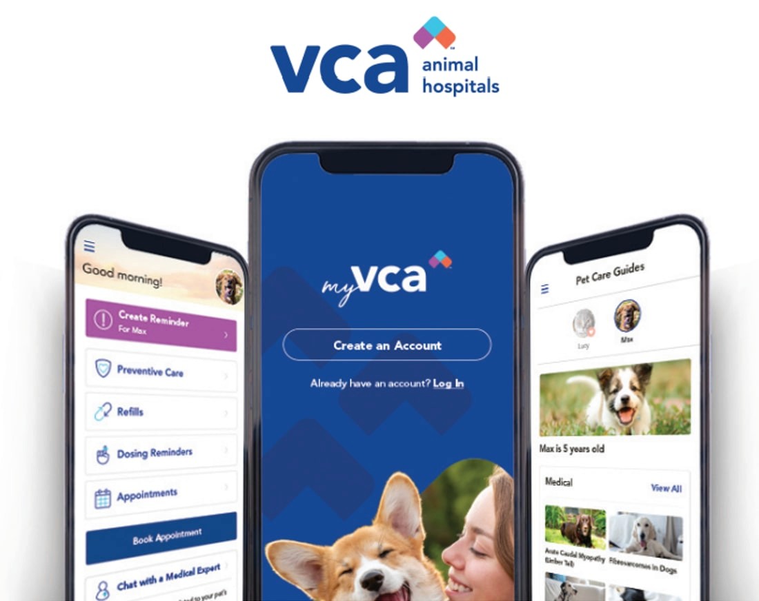 Featured Project Cover Image