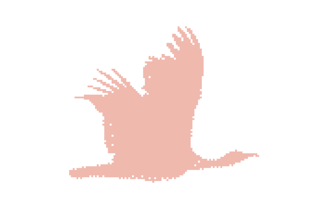Landscape placeholder artwork