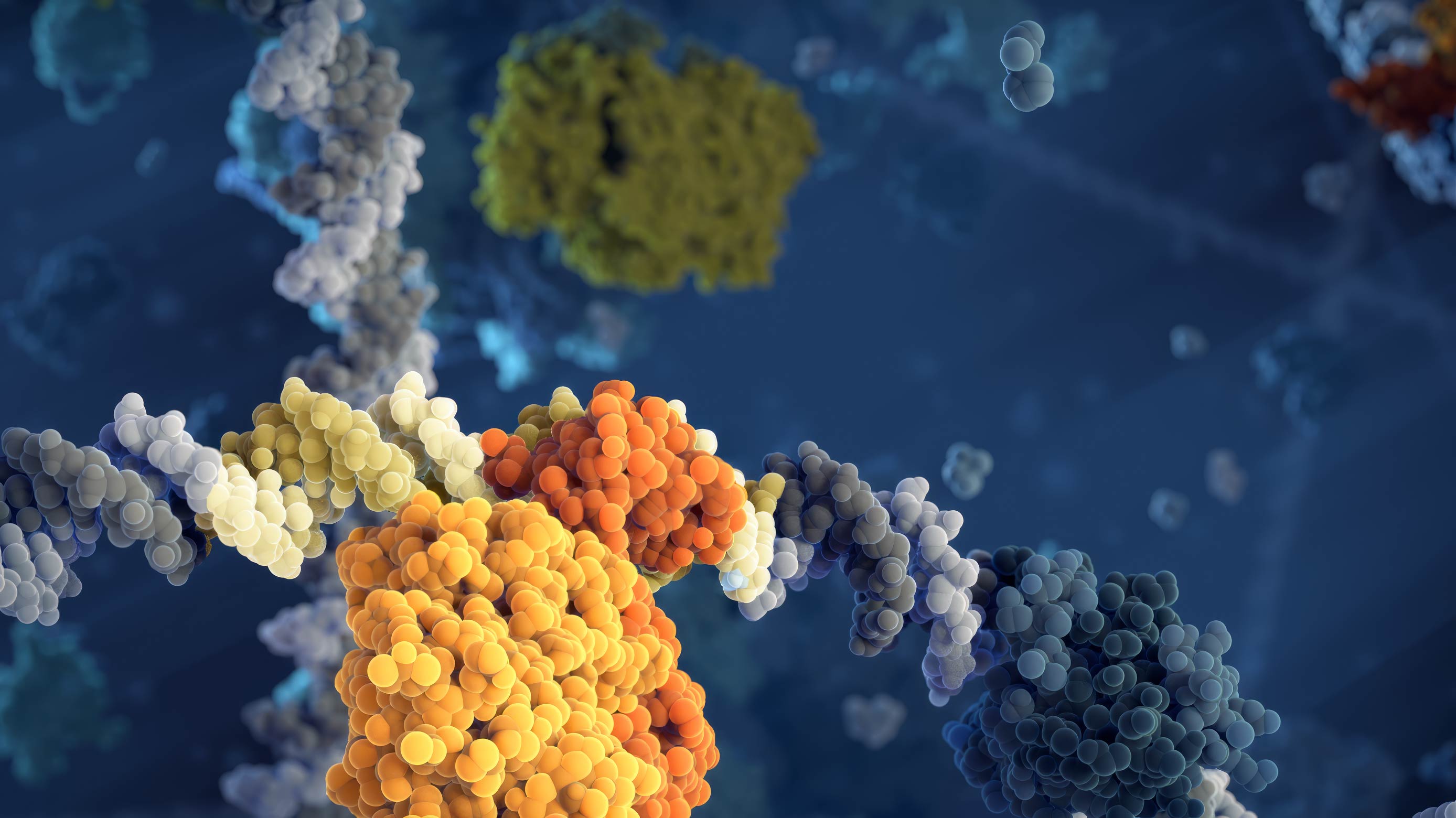 RAS molecule in the membrane