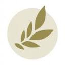 Design Systems by Alla Kholmatova лого