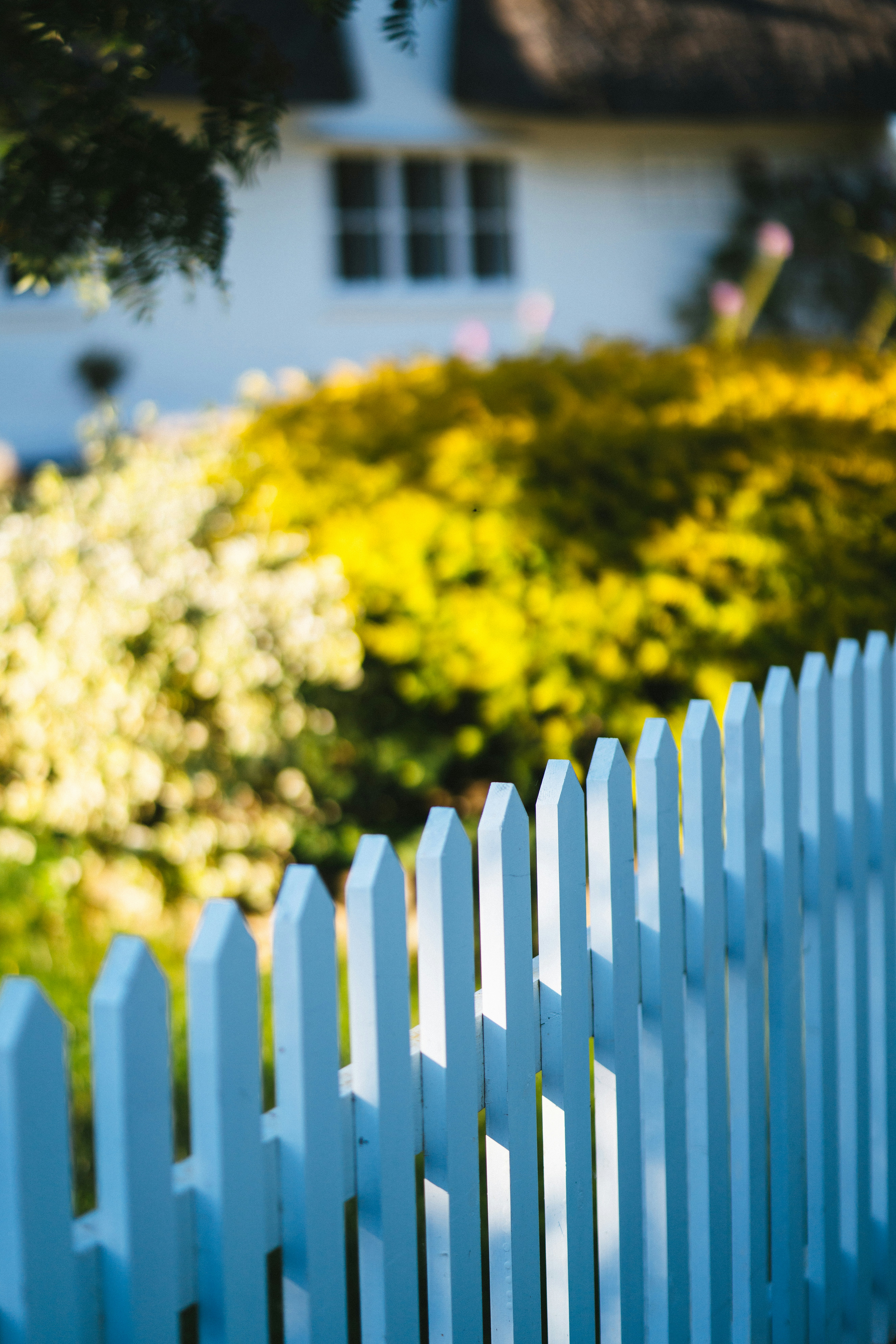 house fencing