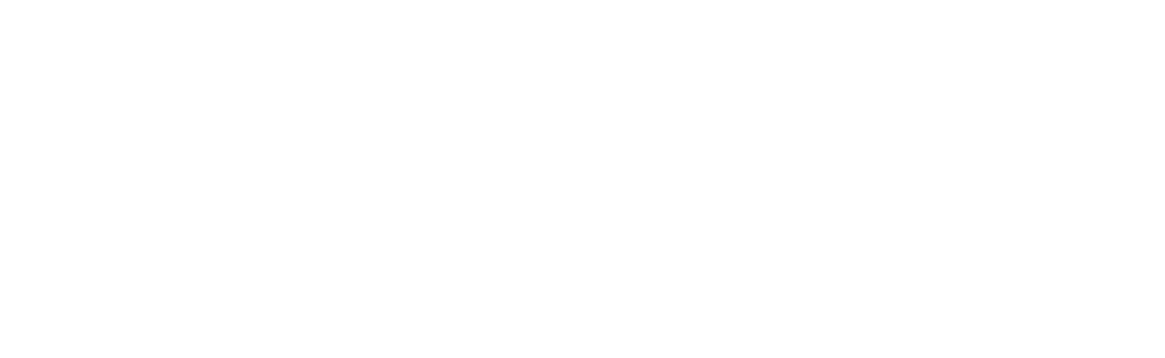 propify logo
