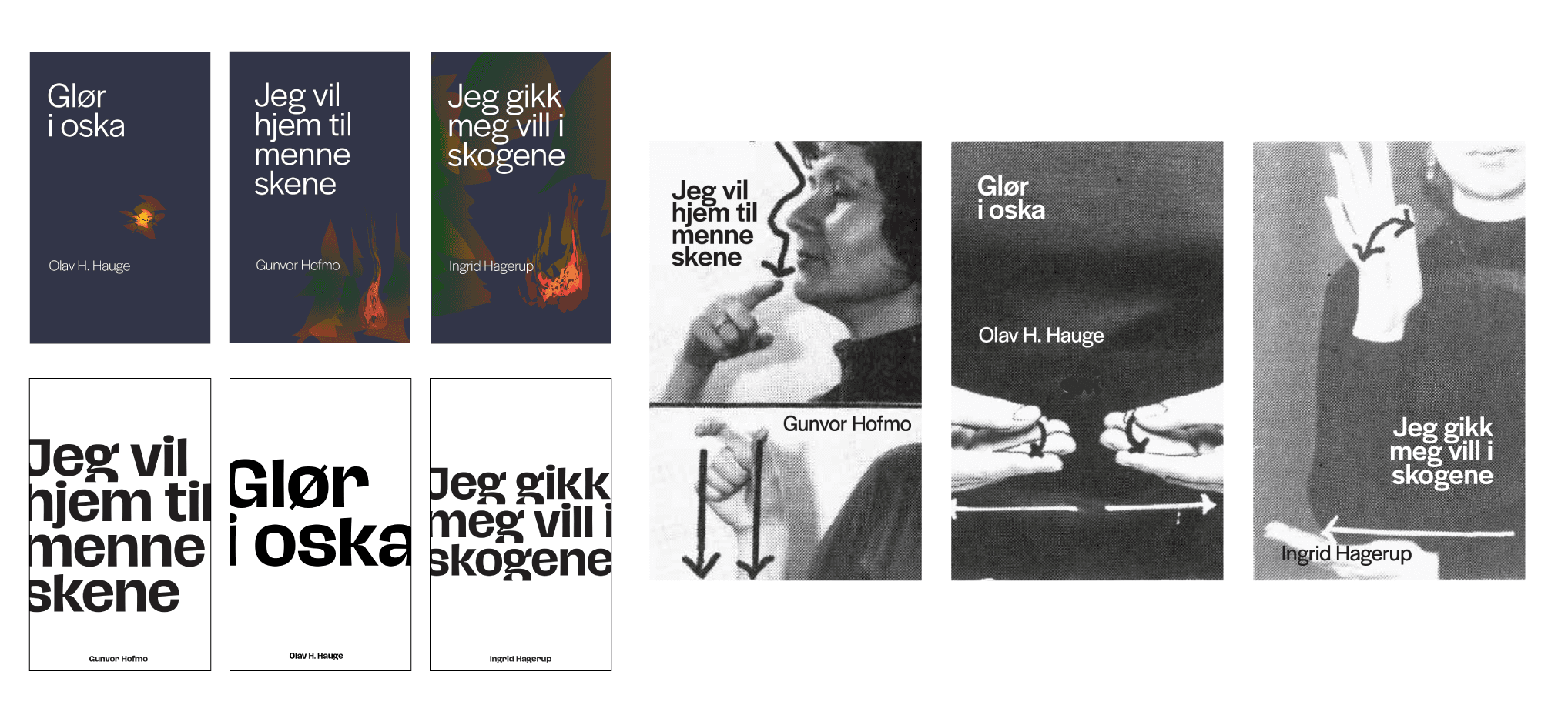 konsepter til bokserie design