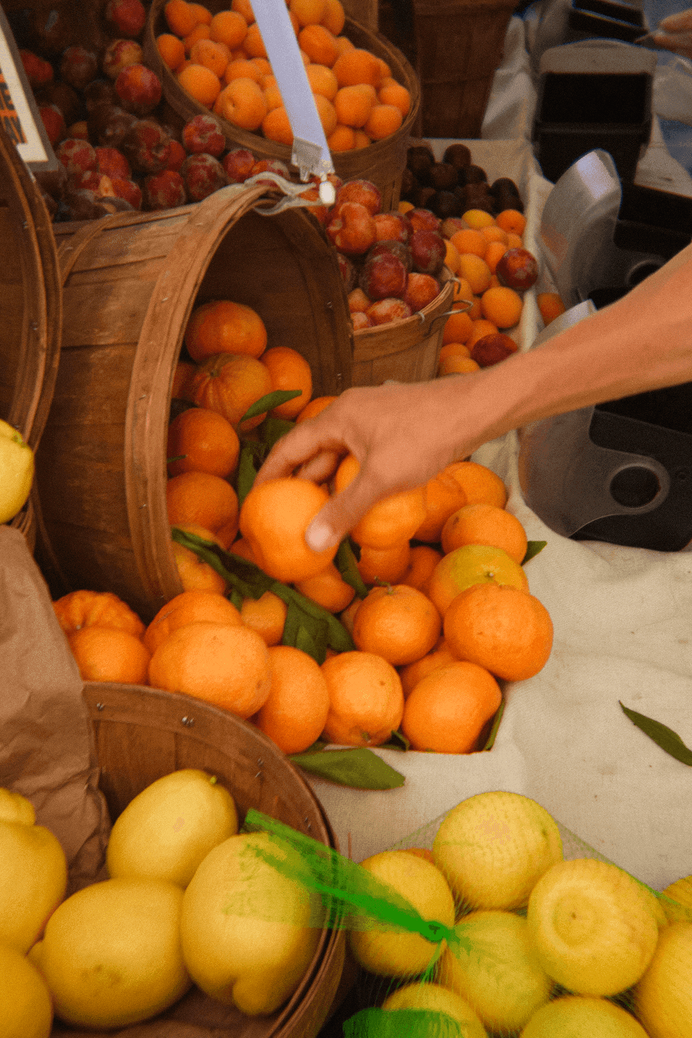 a farmers market stand full of baskets of citrus with a hand reaching to pick up an orange