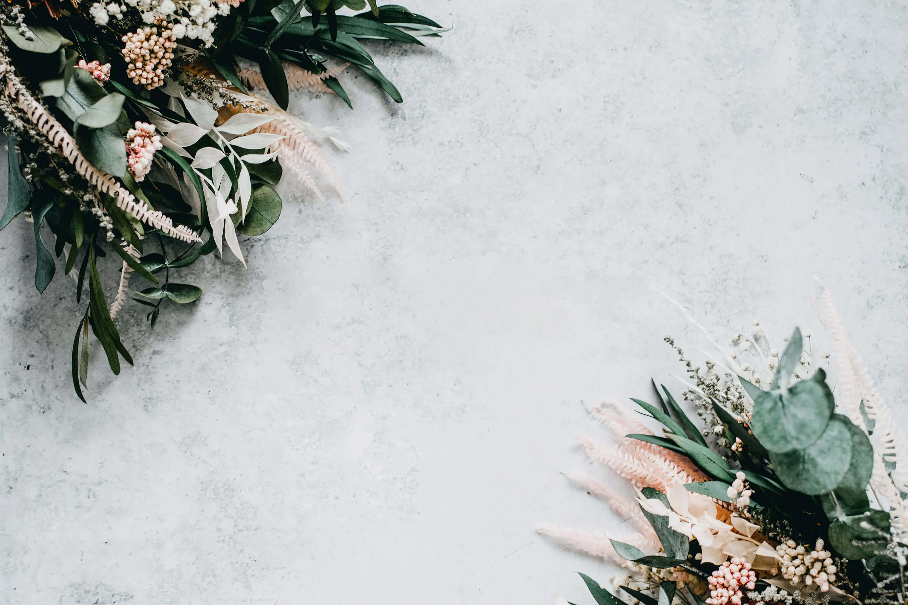 Delicate green foliage and pink flowers.