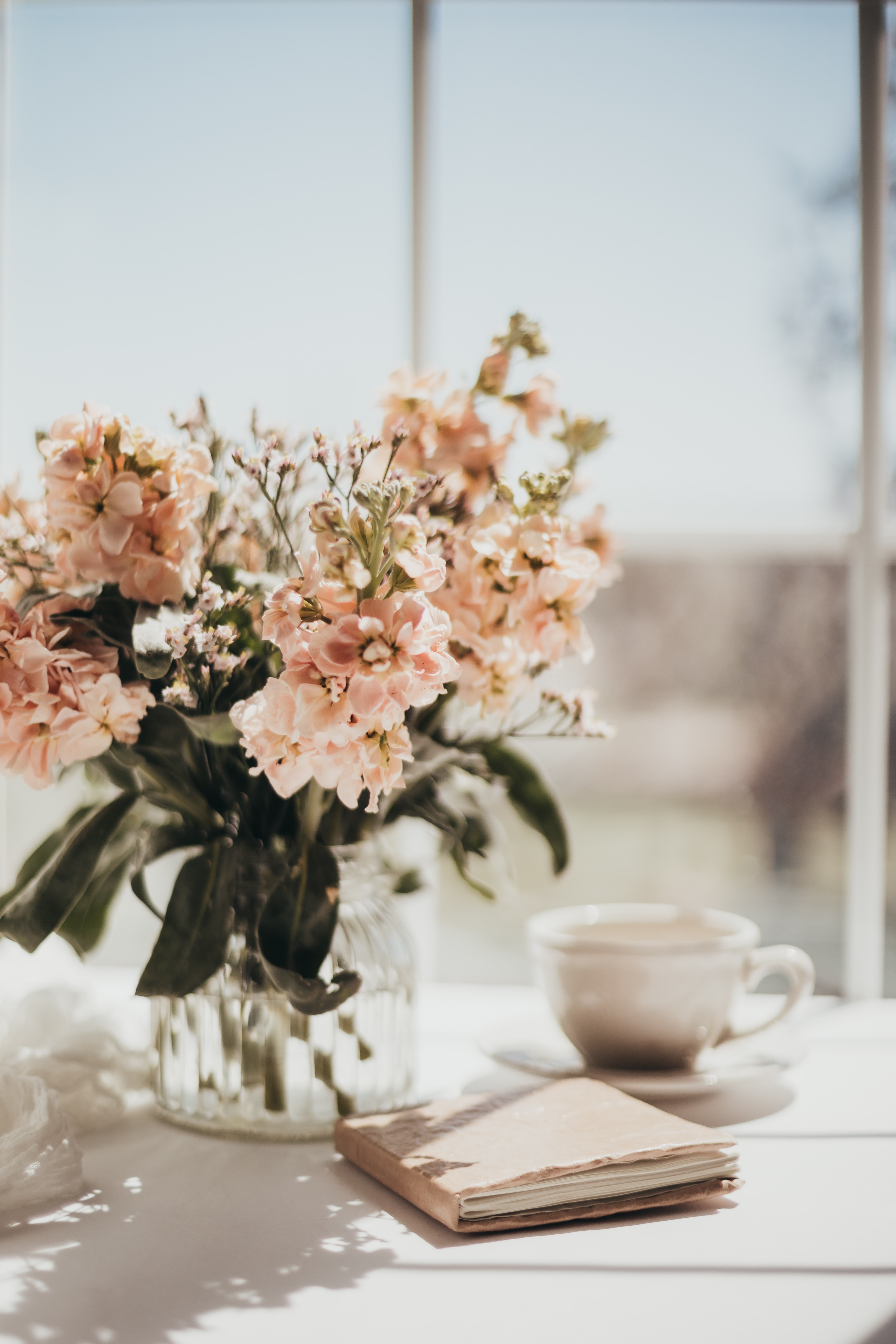 Beautiful rose colored flowers standing in a window and next to it sits a coffee cup