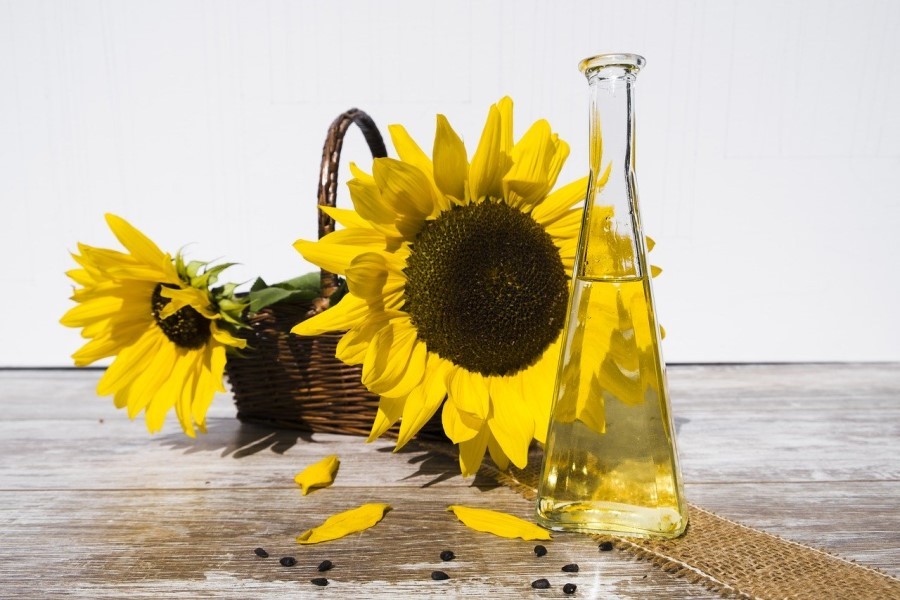 Olio di semi di girasole