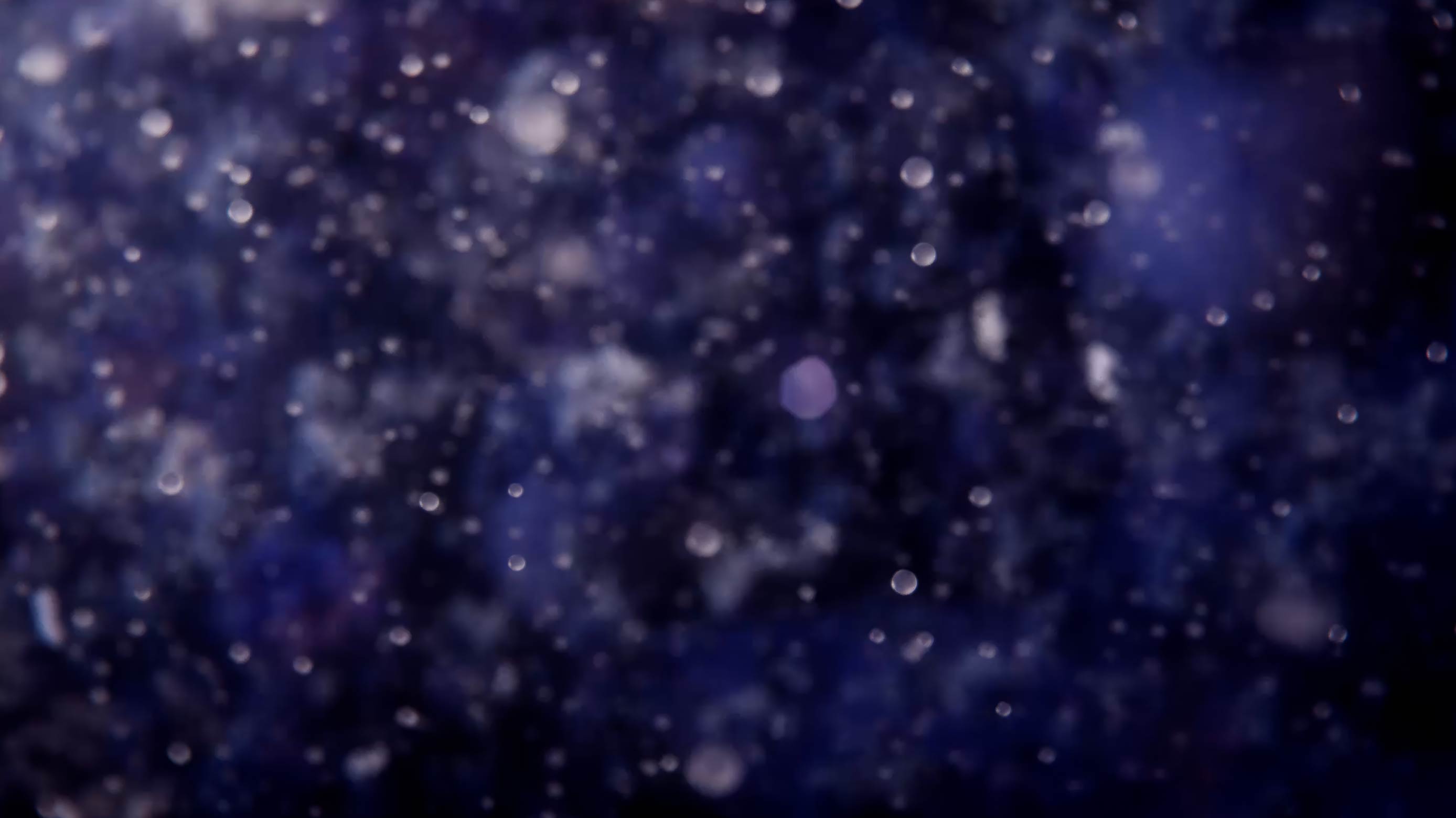 Molecules in the cell cytoplasm