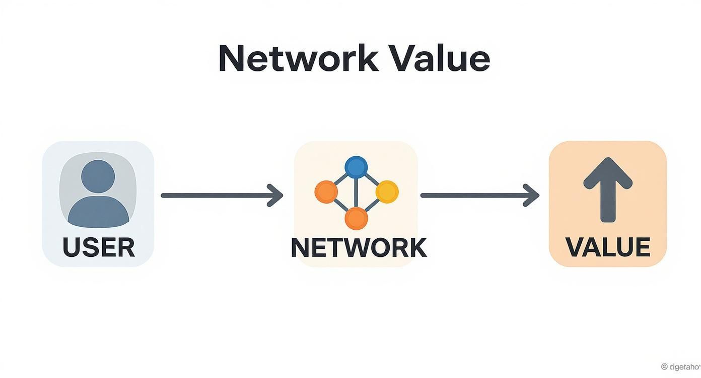 Infographic about how is bitcoin valued