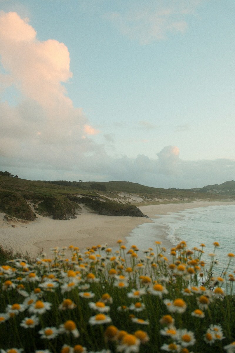 cantabria green spain north coast bay with white beach