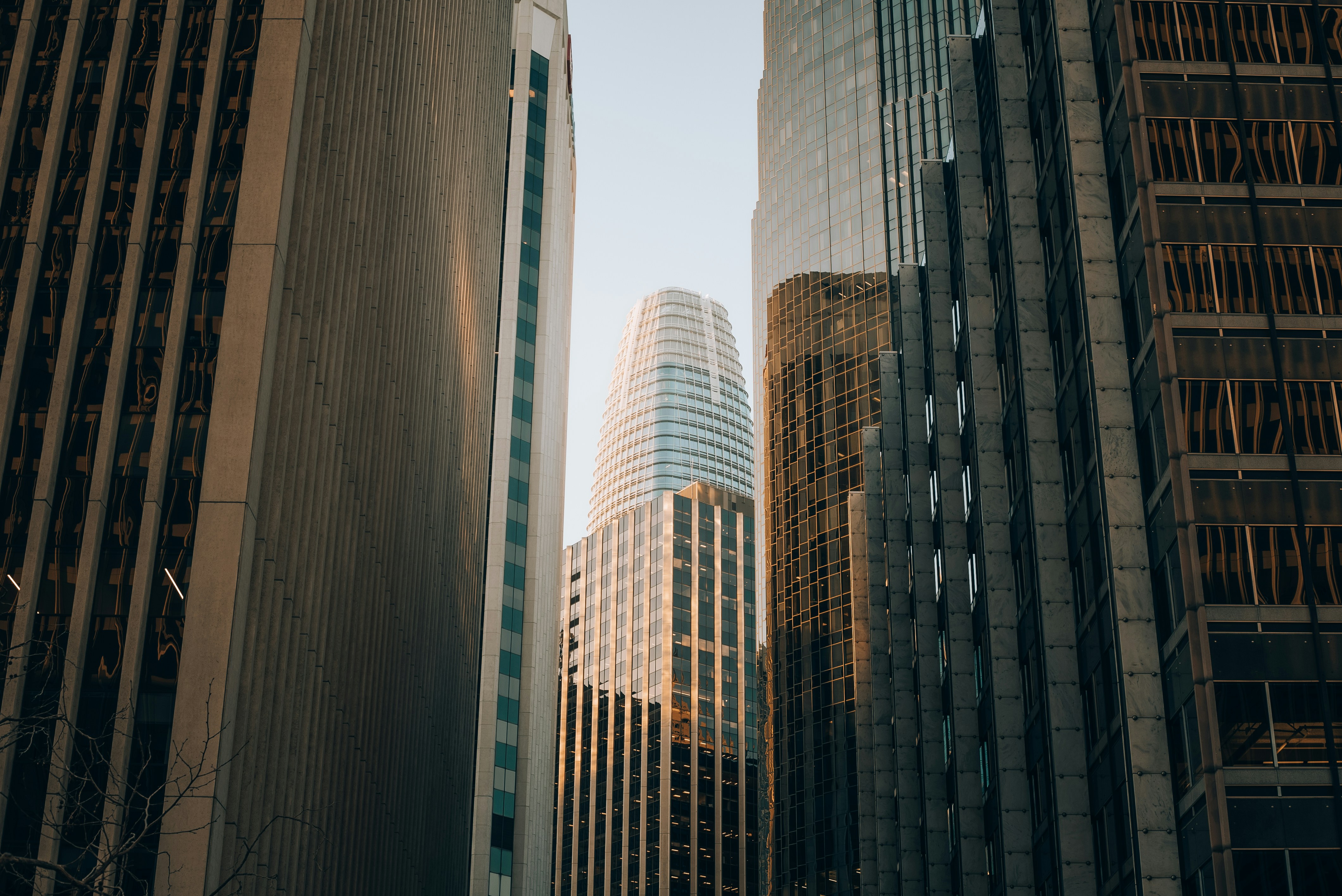 Chicago View