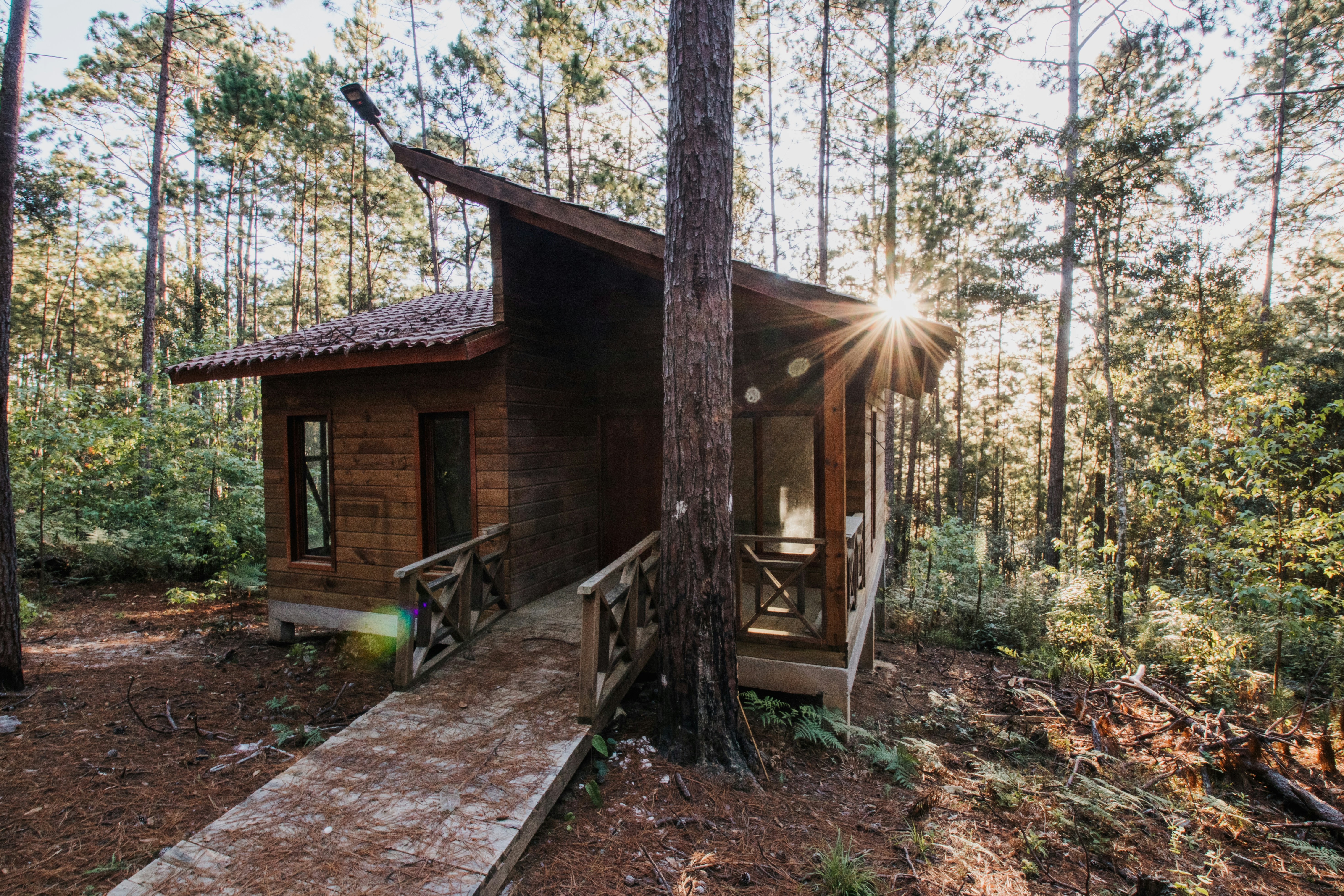 brown wooden house near trees during daytime