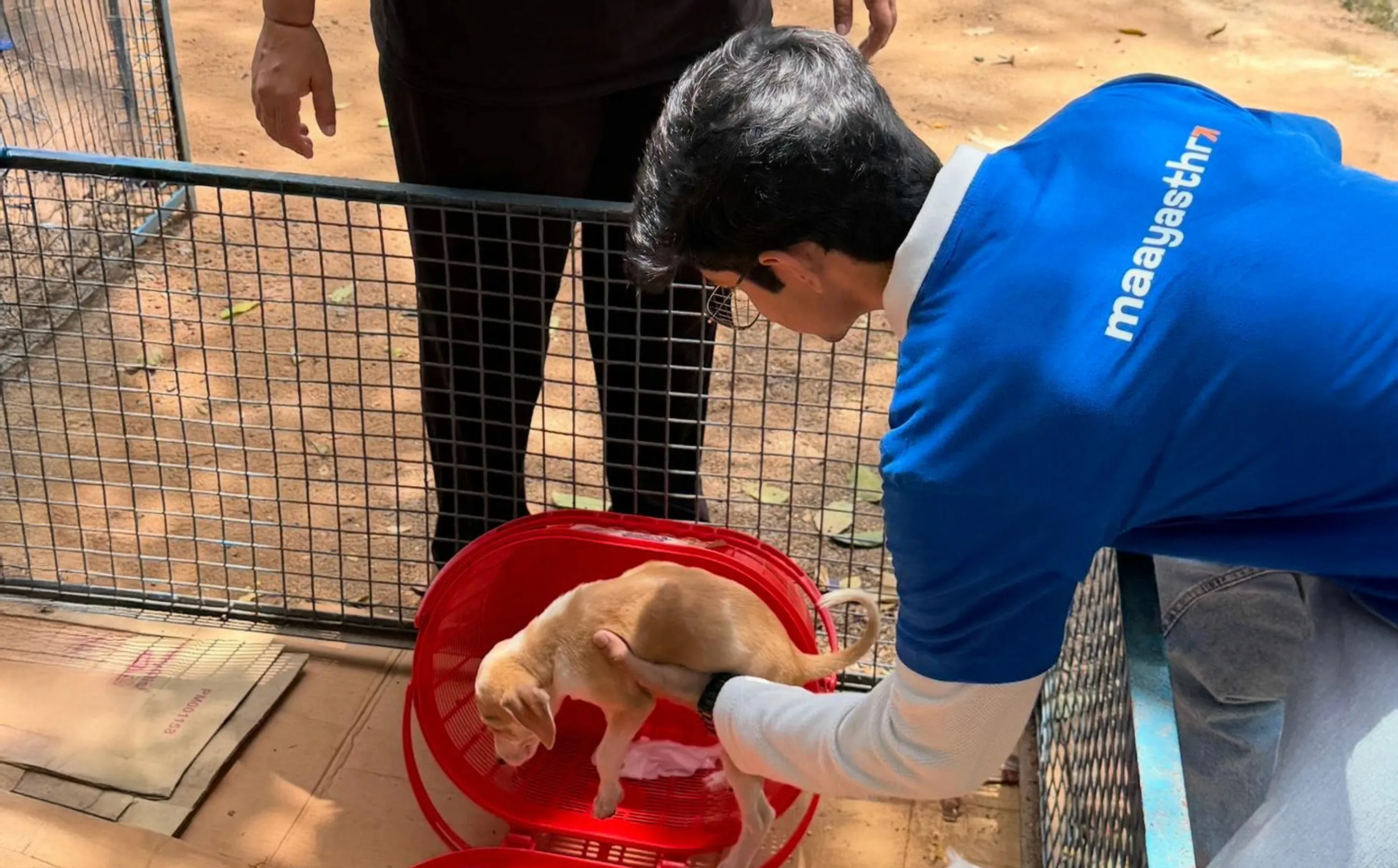 Extending compassion to every living being.