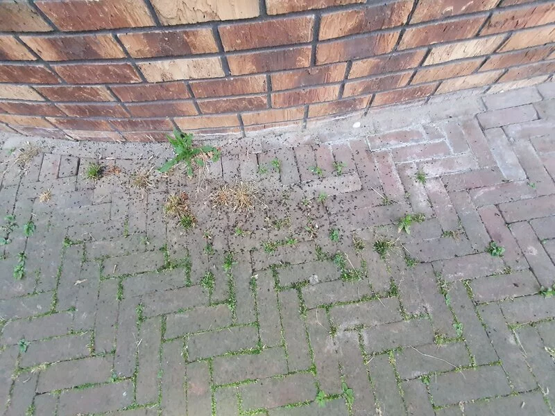 Zorgterrein 's Heeren Loo