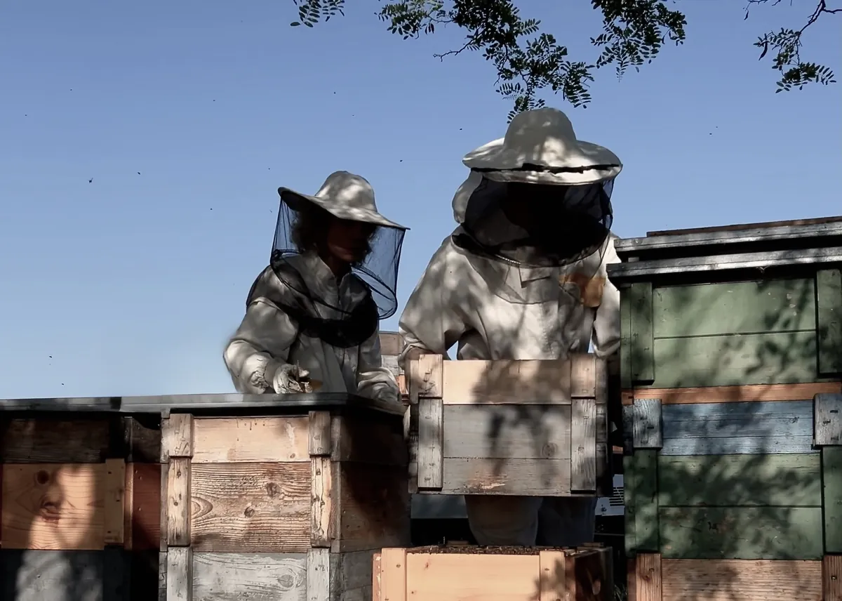 Bazsó Méhészet az 1990-es években