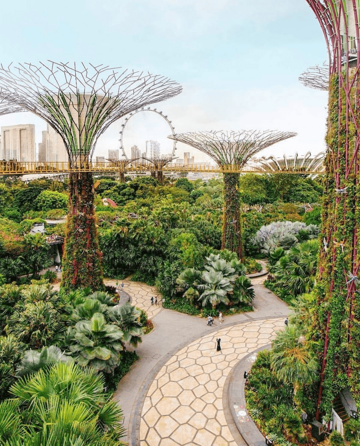 gardens by the bay