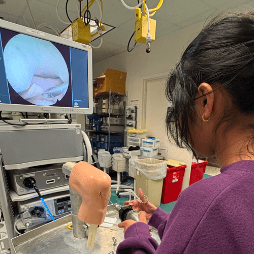 Kavitha Paramatmuni conducting science experiment in a laboratory