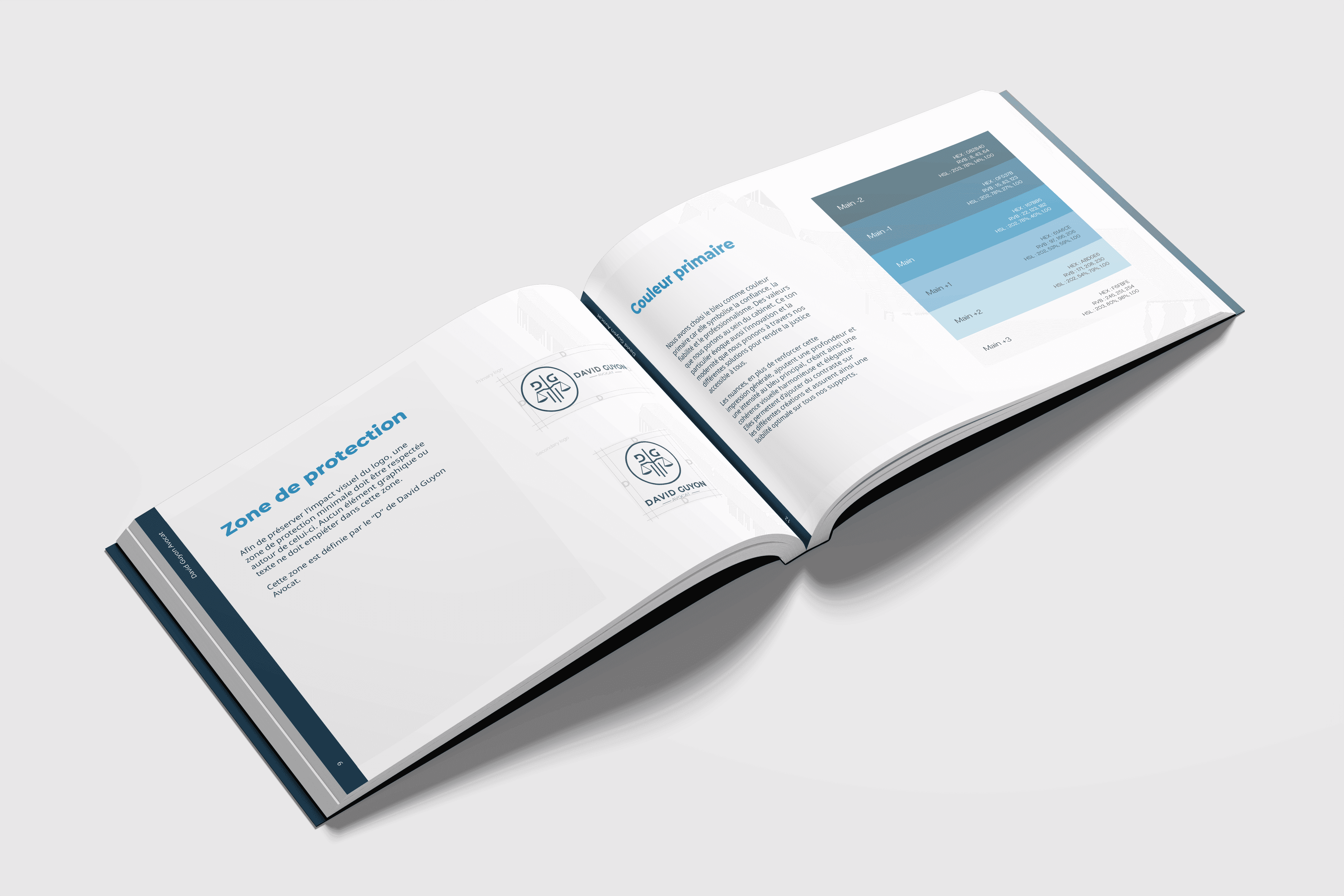 charte graphique de david guyon réalisée par valentin dupin