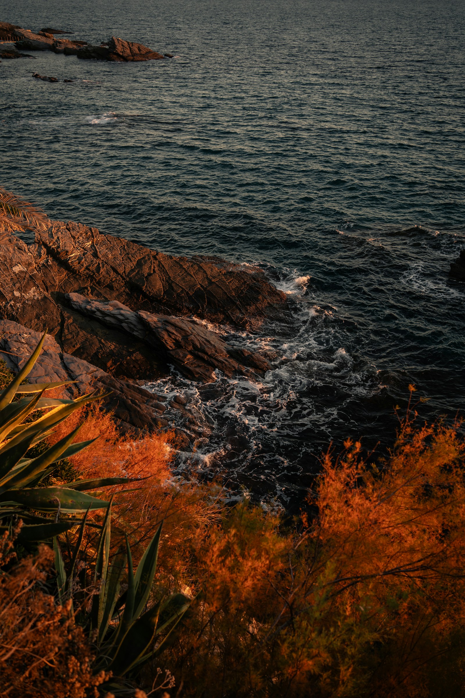 Rocky coastline with ocean waves and coastal plants. — editorial landscape image 7 for "Where the Fog Settles"