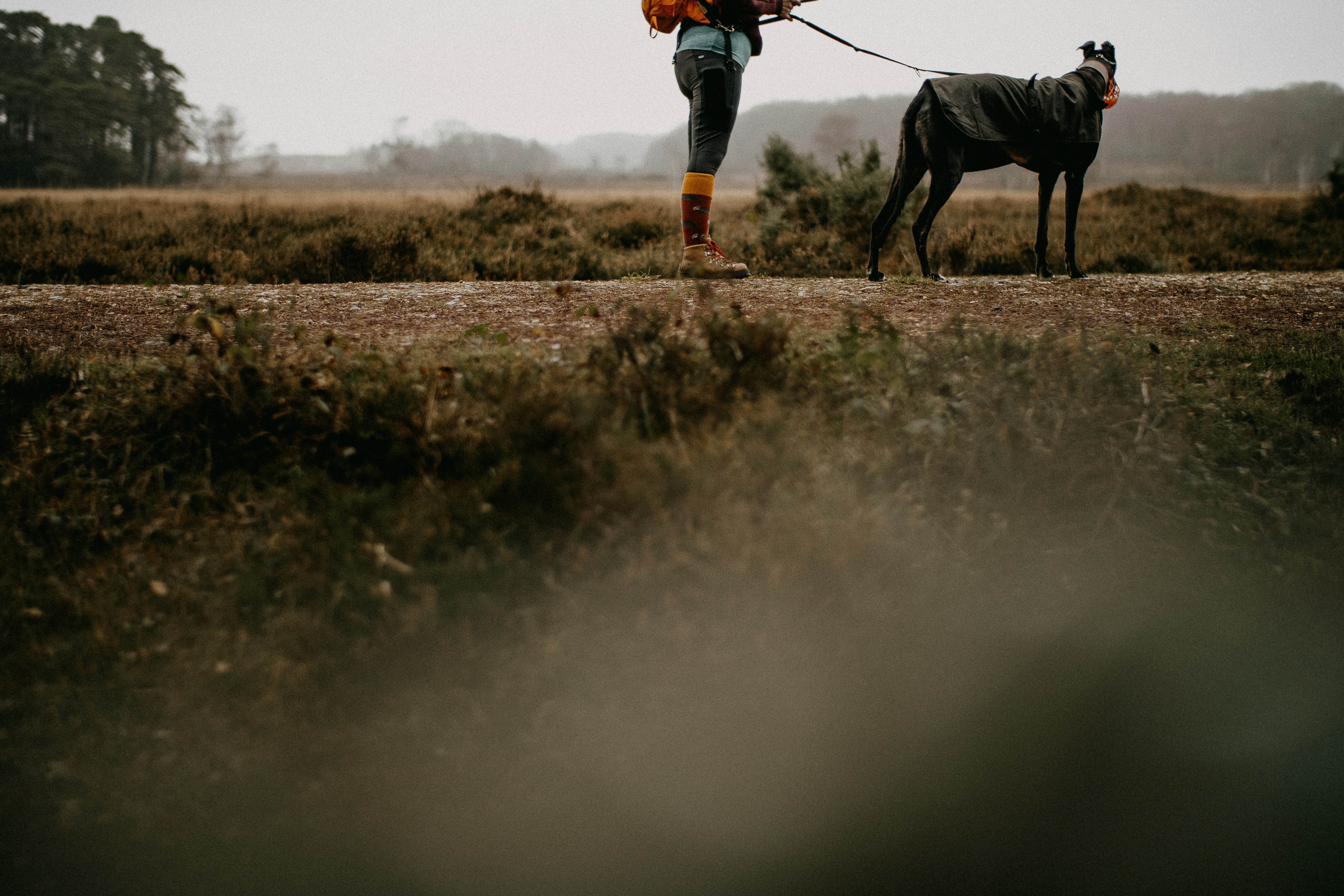 Woman Going For a Walk With Her Dog