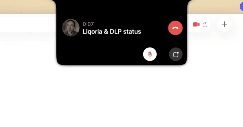 Web calls DynamicLake