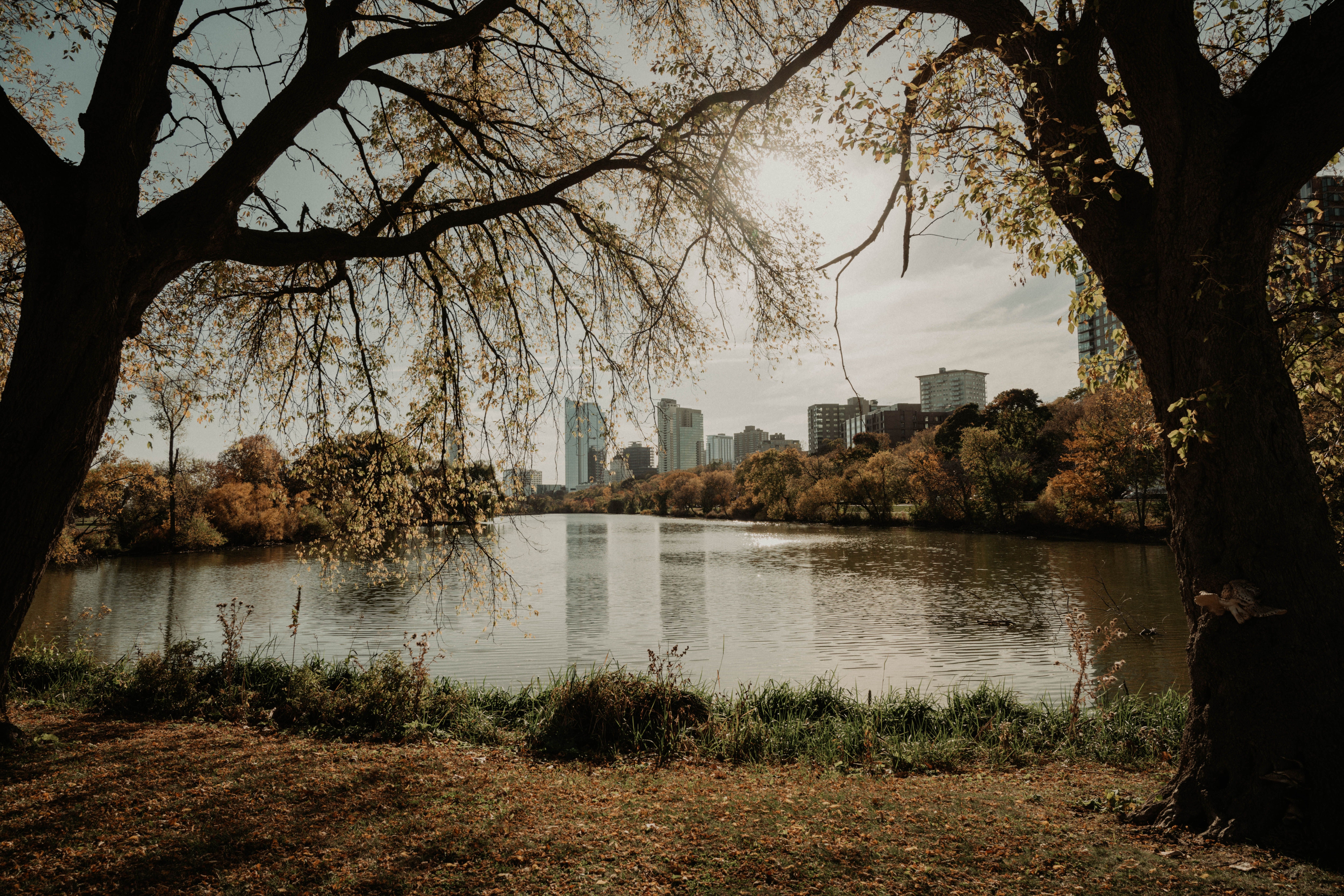 A view of a city from across the water