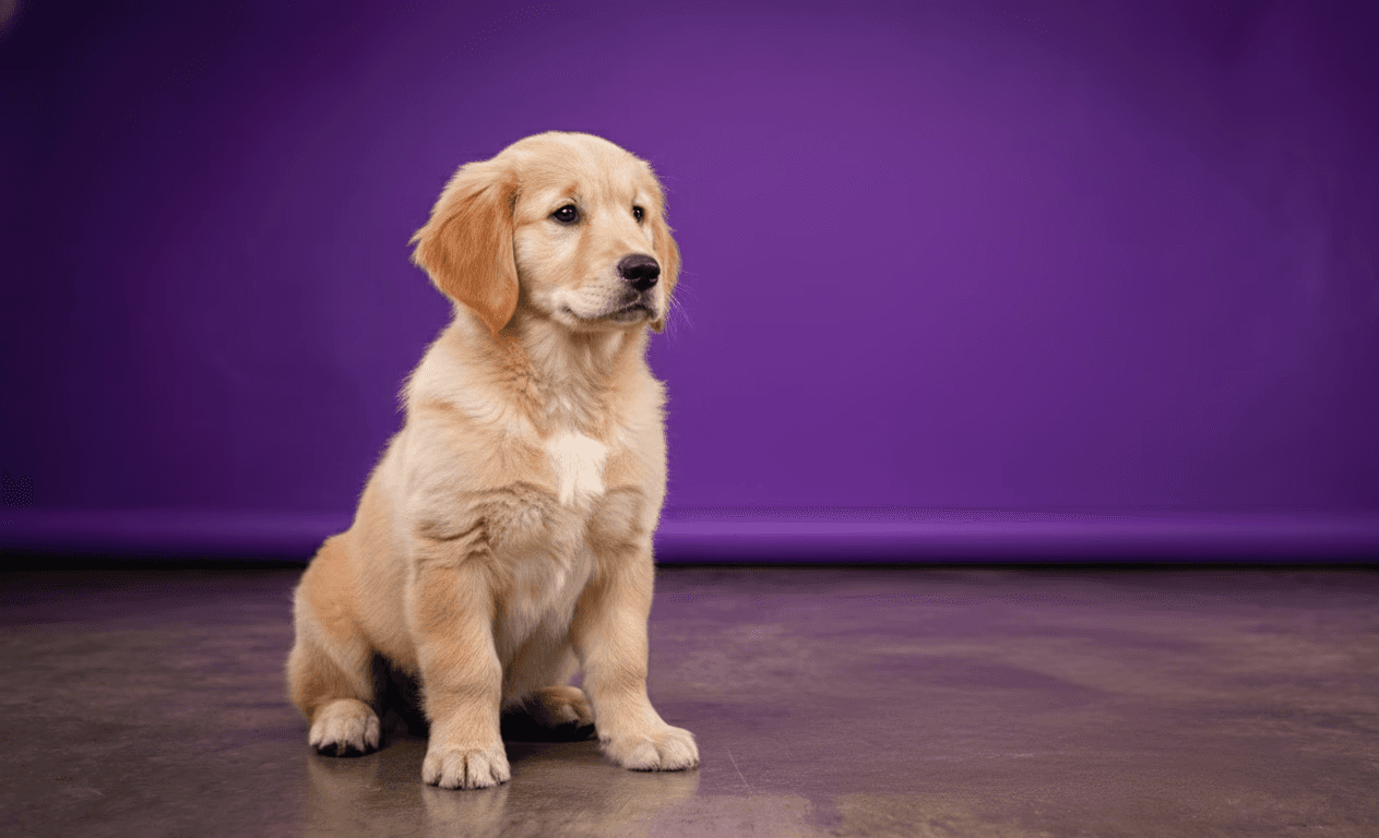 A kid practicing surfing
