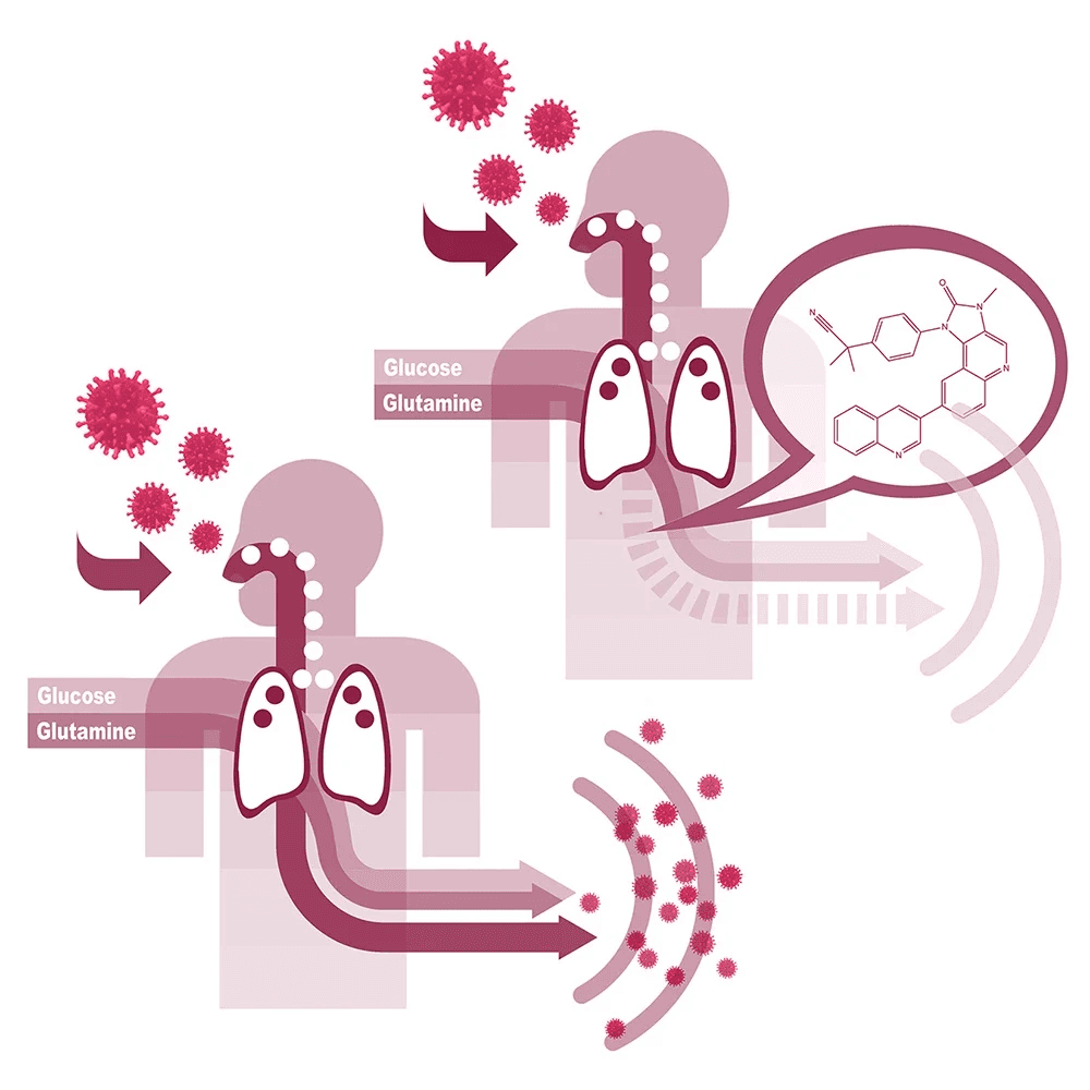A student researcher creating a graphical abstract for their academic paper, showing visual icons and a simplified research summary