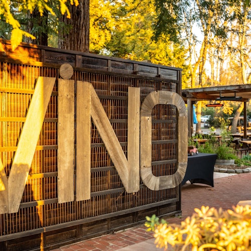 Tour de Vinos y Bosques de Día Completo