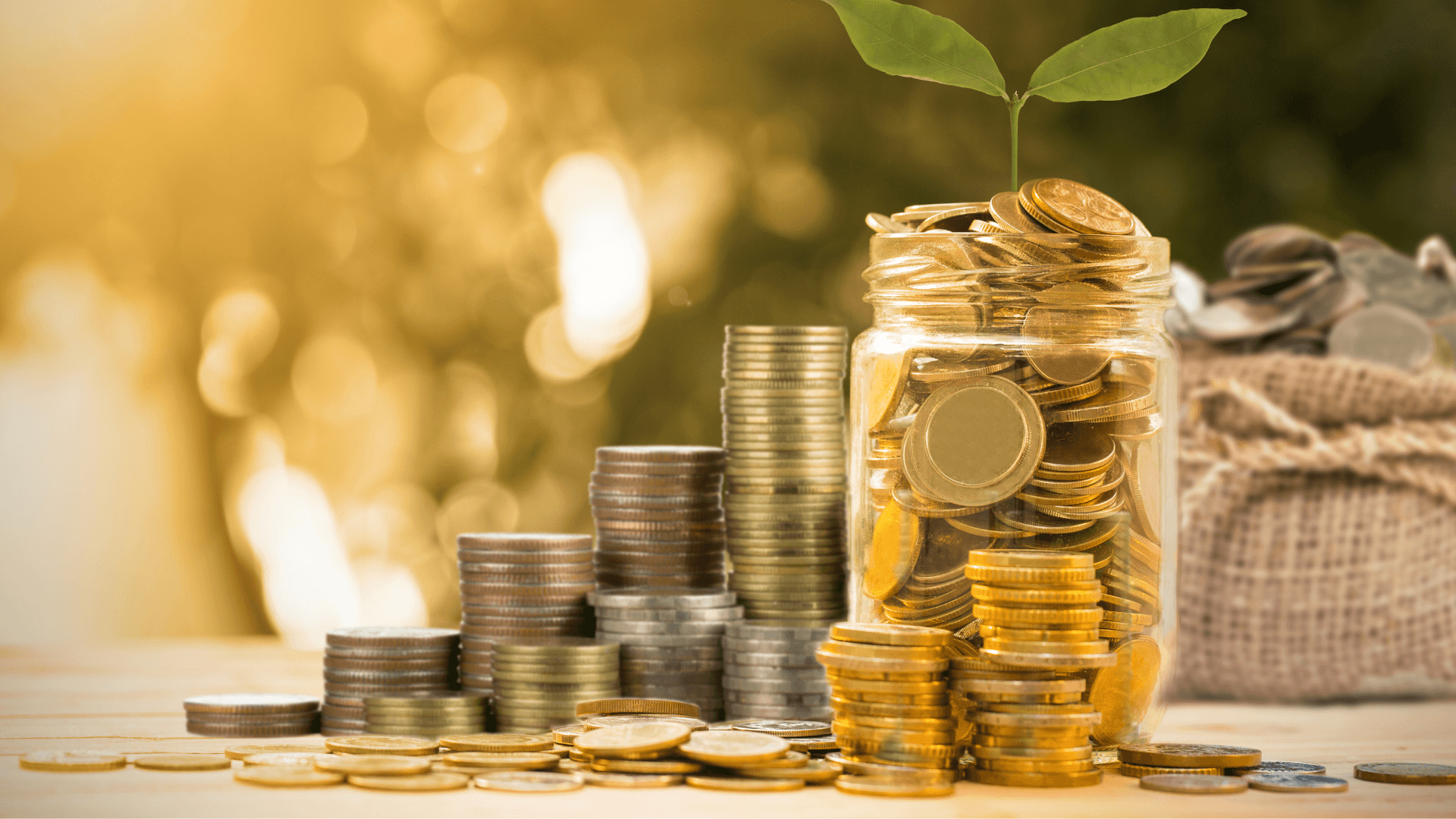 Ein Stapel Münzen und ein kleines Hausmodell mit einer daneben wachsenden Pflanze, die finanzielles Wachstum und Investitionen symbolisieren.