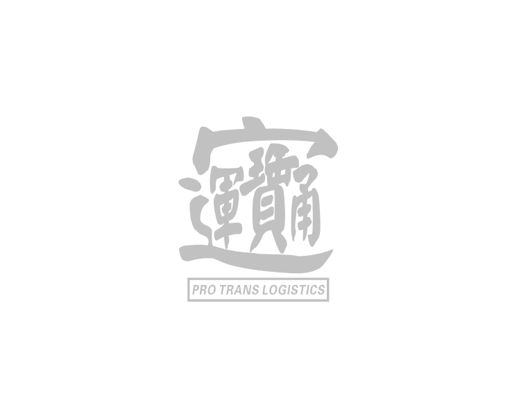 Nguyen Tan Toàn UX/UI Product Designer - Protrans Logistic