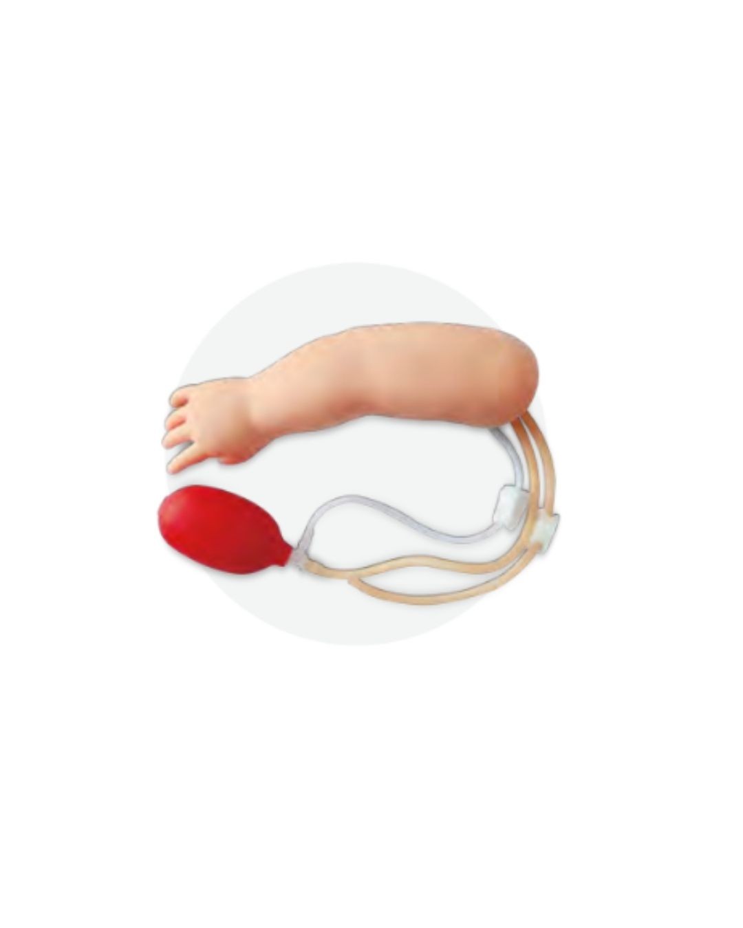 Infant Arterial Puncture Arm