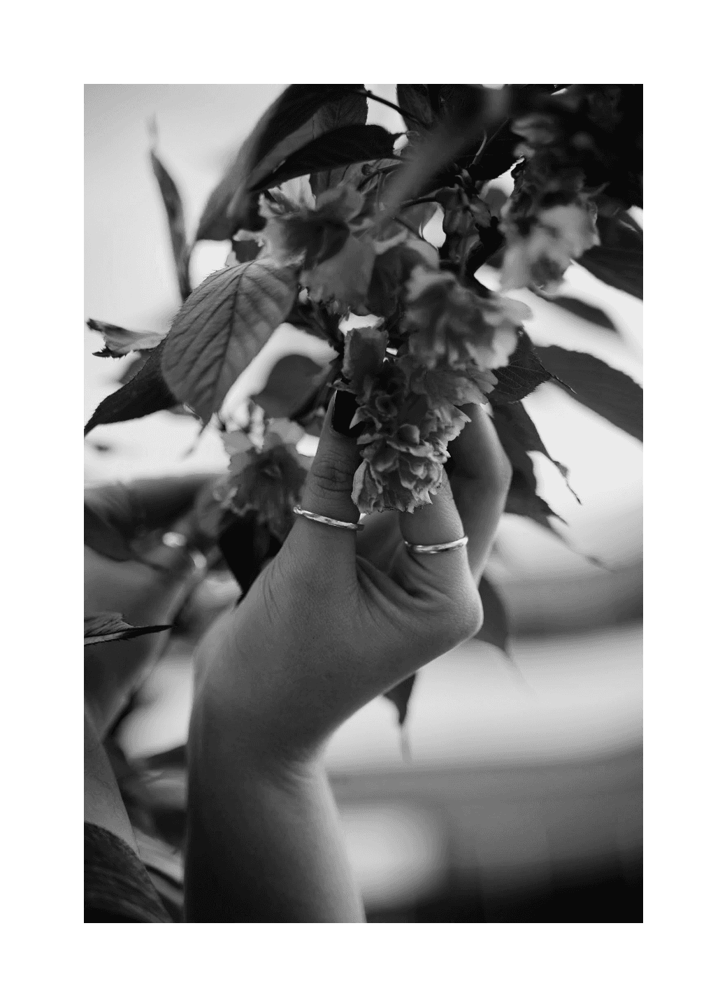 Tree branches reach towards a clear, blue sky.