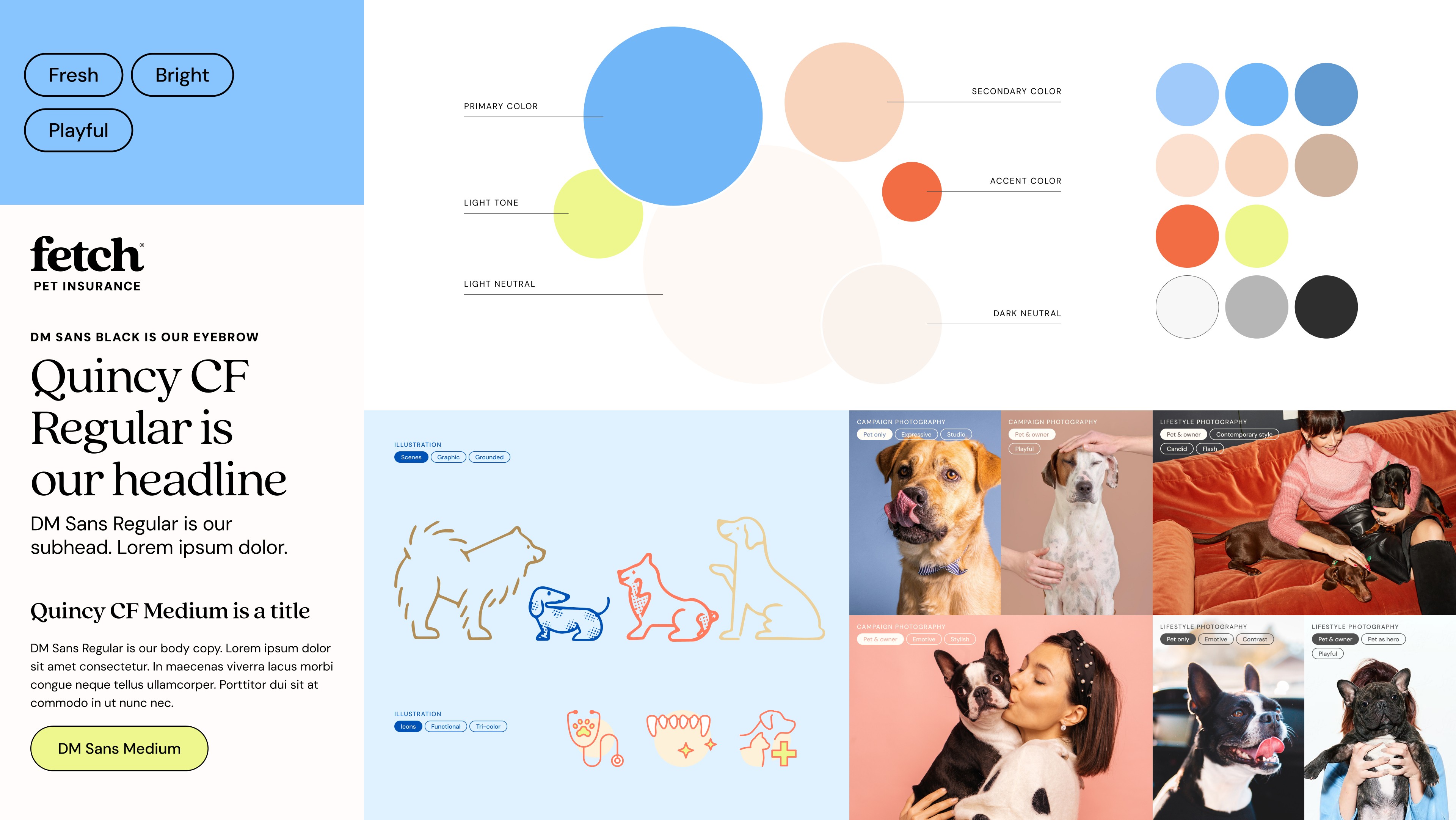 Rebrand concept in a bento box layout.