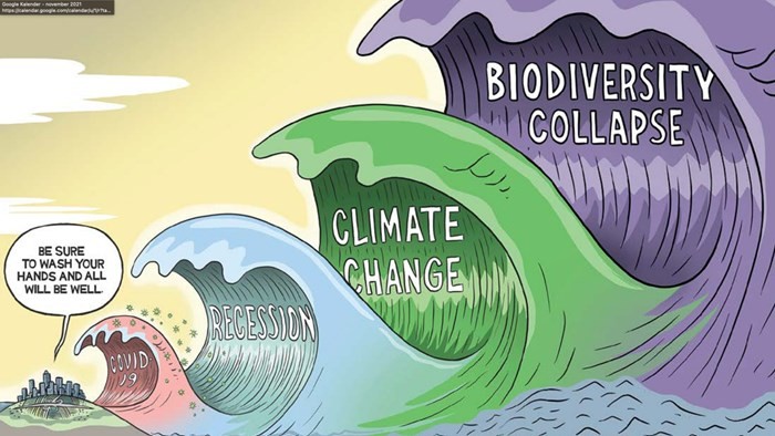 A cartoonish landscape with colorful waves labeled "Biology," "Chemistry," and "Physics," with clouds above.