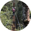 Arvorismo  - Motion Turismo