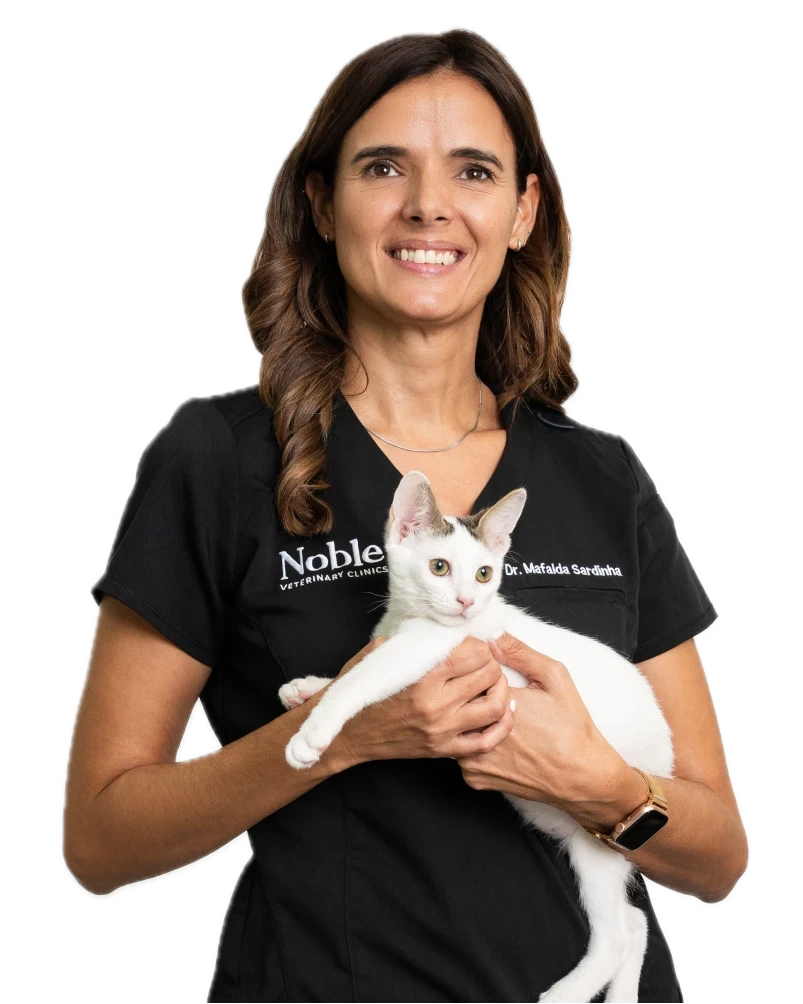 Dr. Mafalda Sardinha