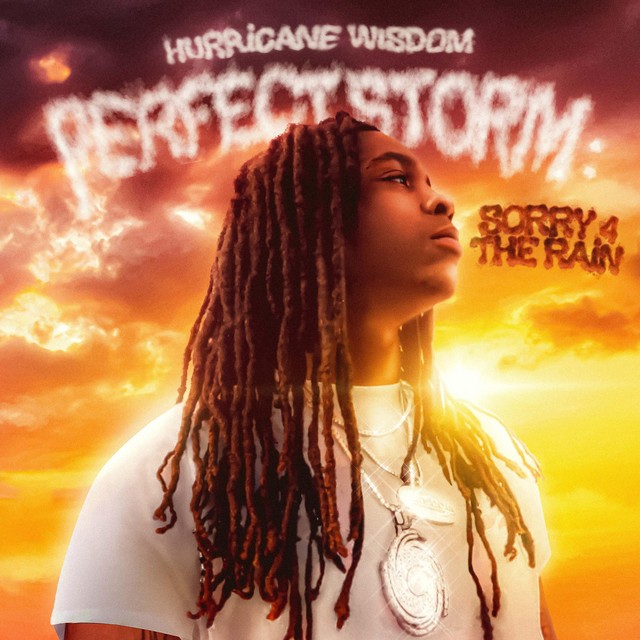 Perfect Storm: Sorry for the Rain cover