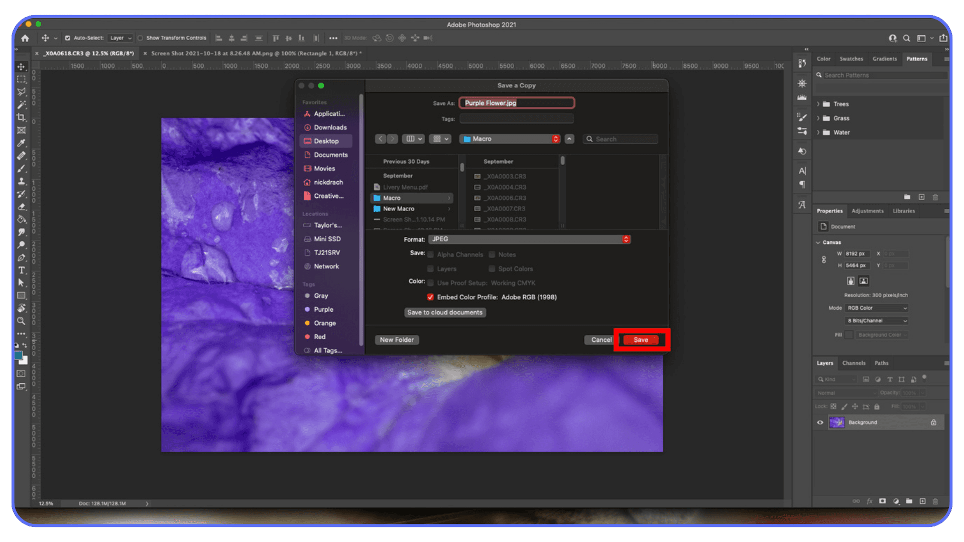 Photoshop Save As dialog saving a macro photo named “Purple Flower.jpg,” showing embed color profile and save location options.