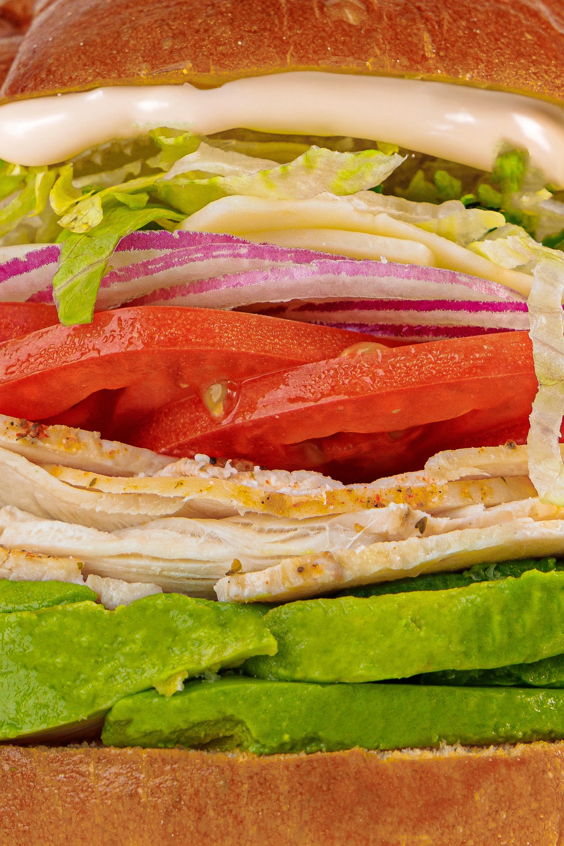 Side view close up of a sandwich.