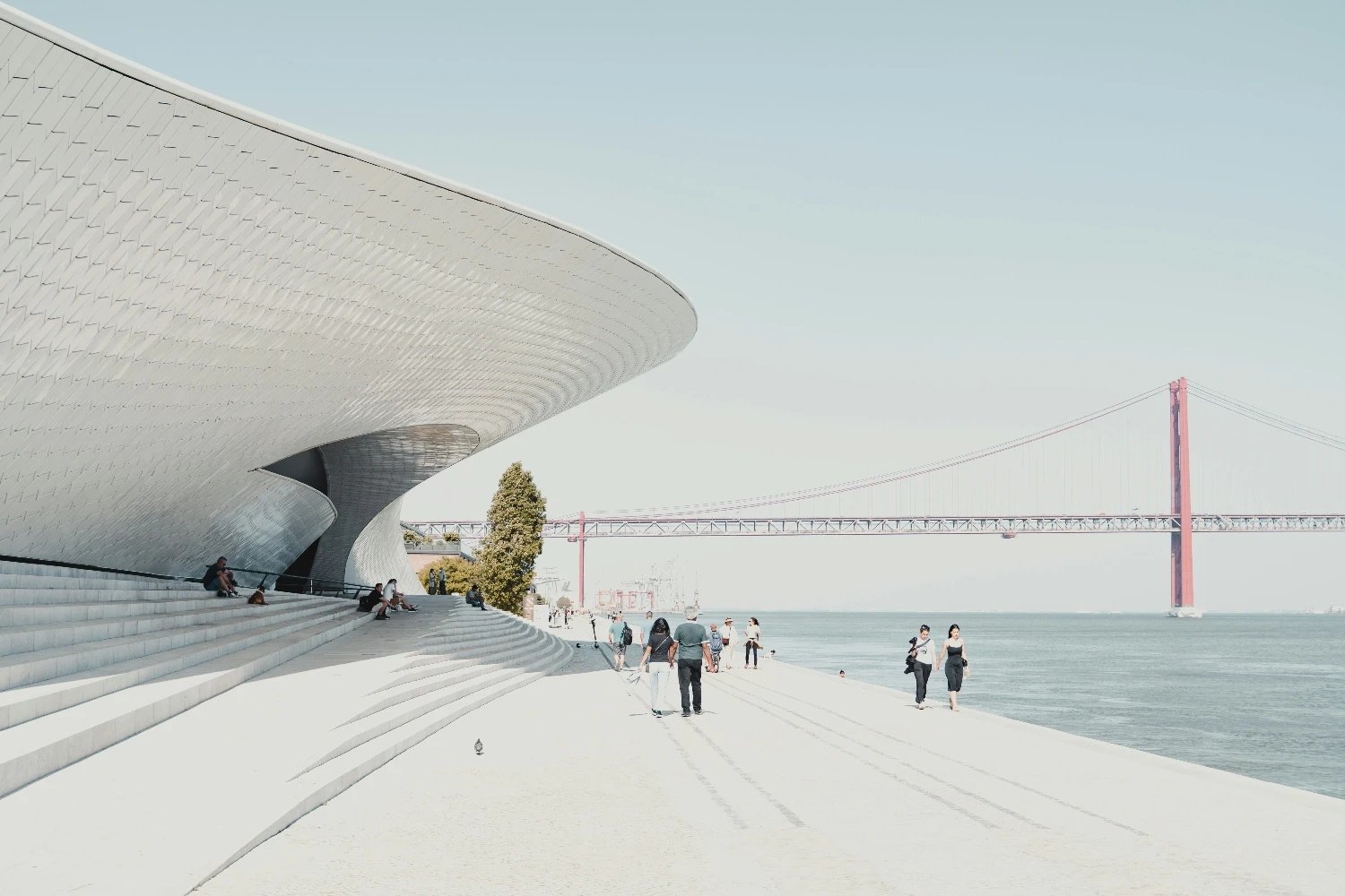 people walking on beach during daytime