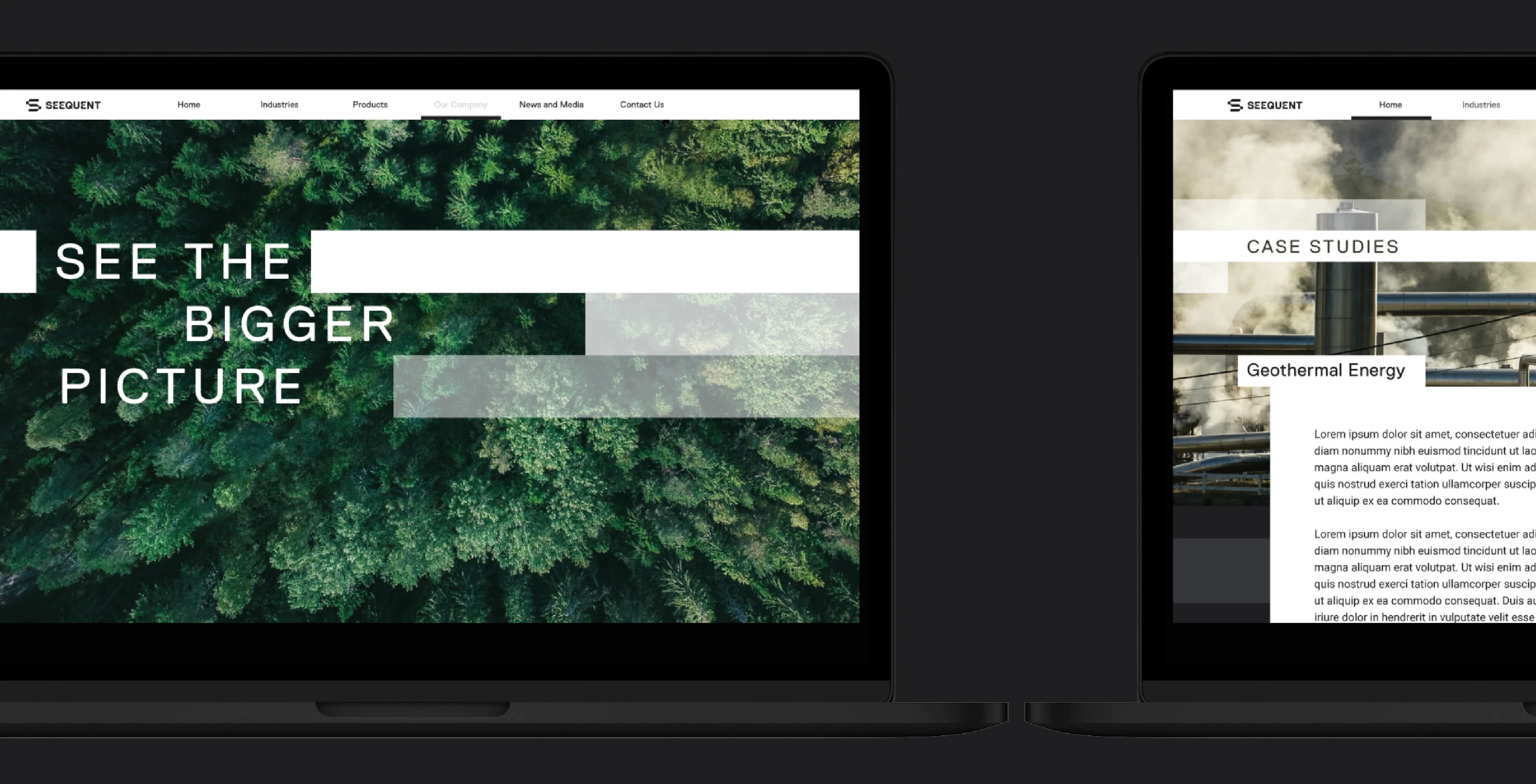 Image of Brand Identity work for Seequent