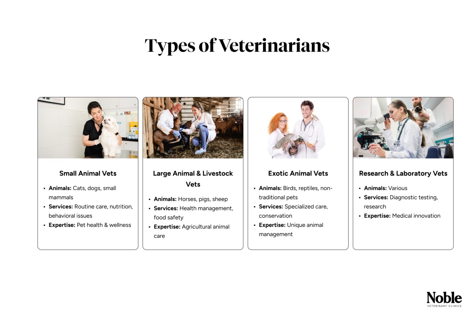 What are the Different Types of Veterinarians?