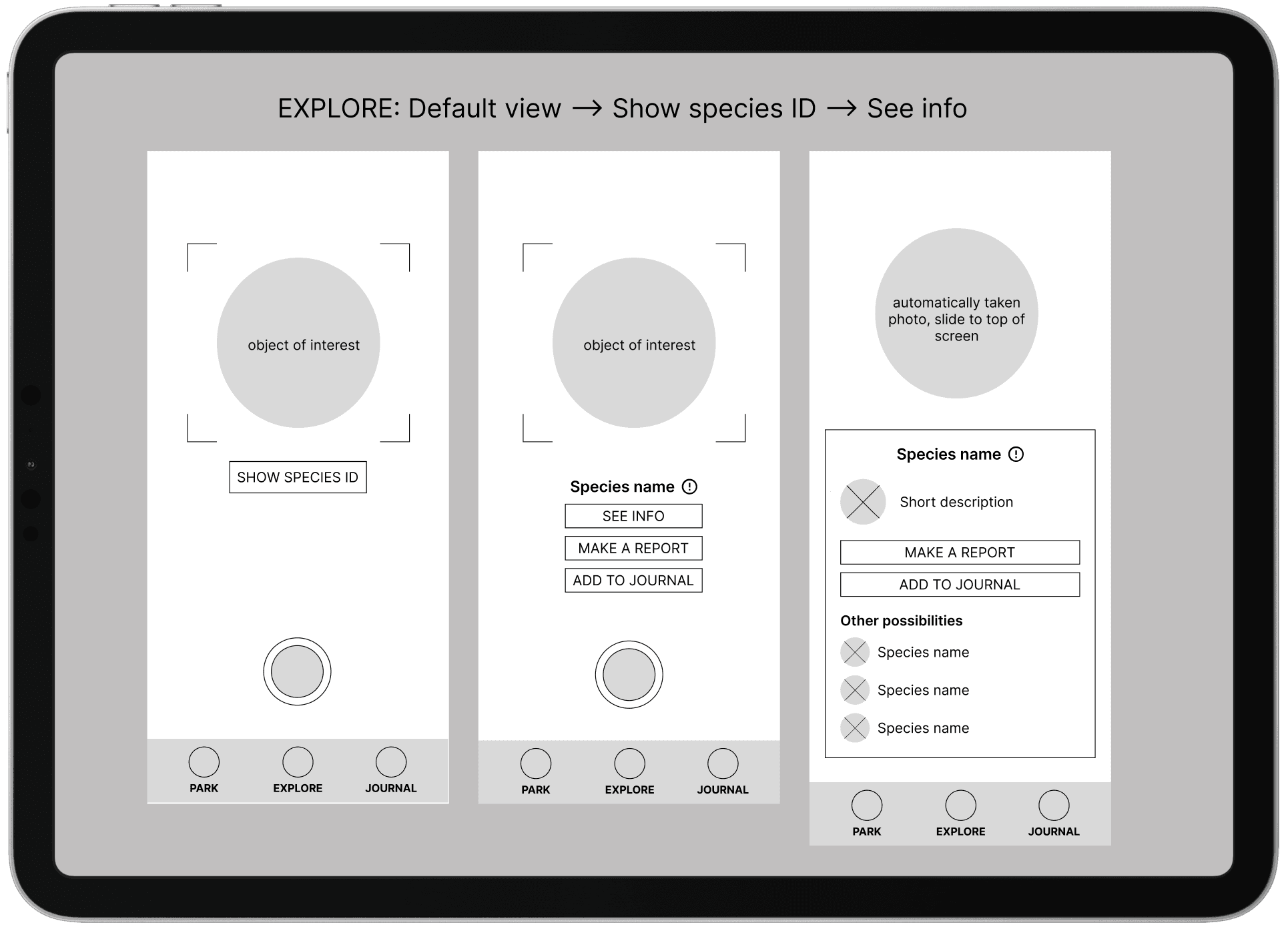 mid-fi wireframes of user flow to use the camera to see species info