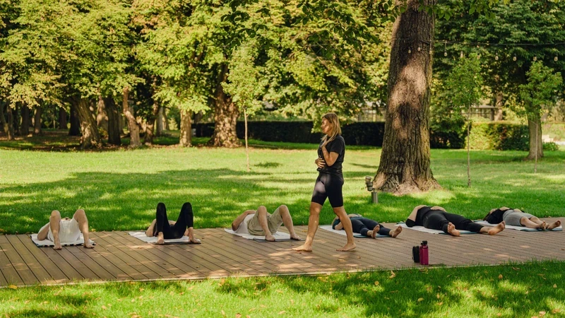 people meditate on the grass